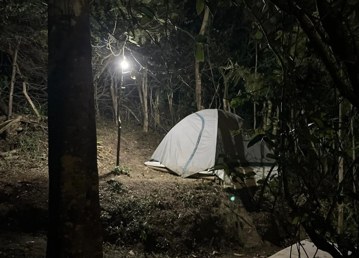 Alpine Kanthalloor Camp Site 0*,  Indien